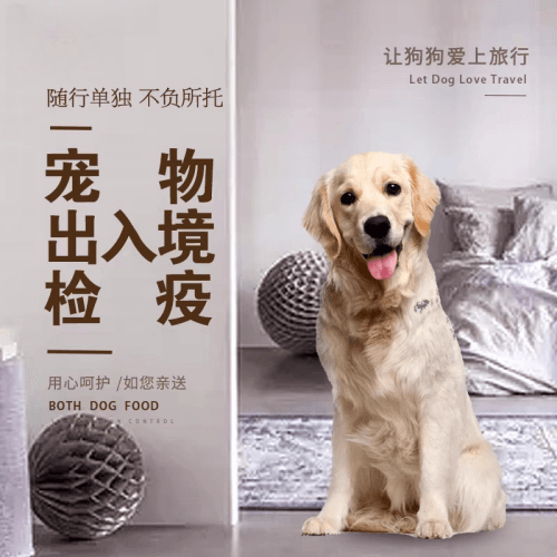 汕头市宠物托运到哥伦比亚猫狗宠物入境规定和