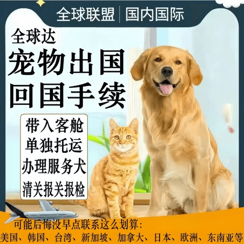 汕头市宠物托运到柬埔寨宠物入境规定和要求