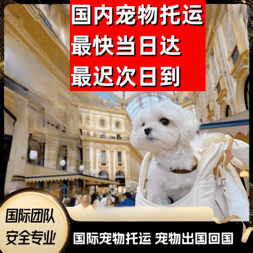汕头市到澳大利亚（澳洲）宠物入境规定和要求